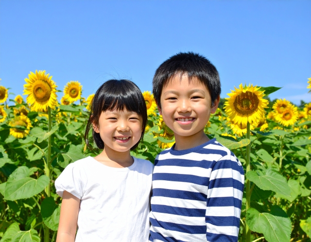 トピックス画像