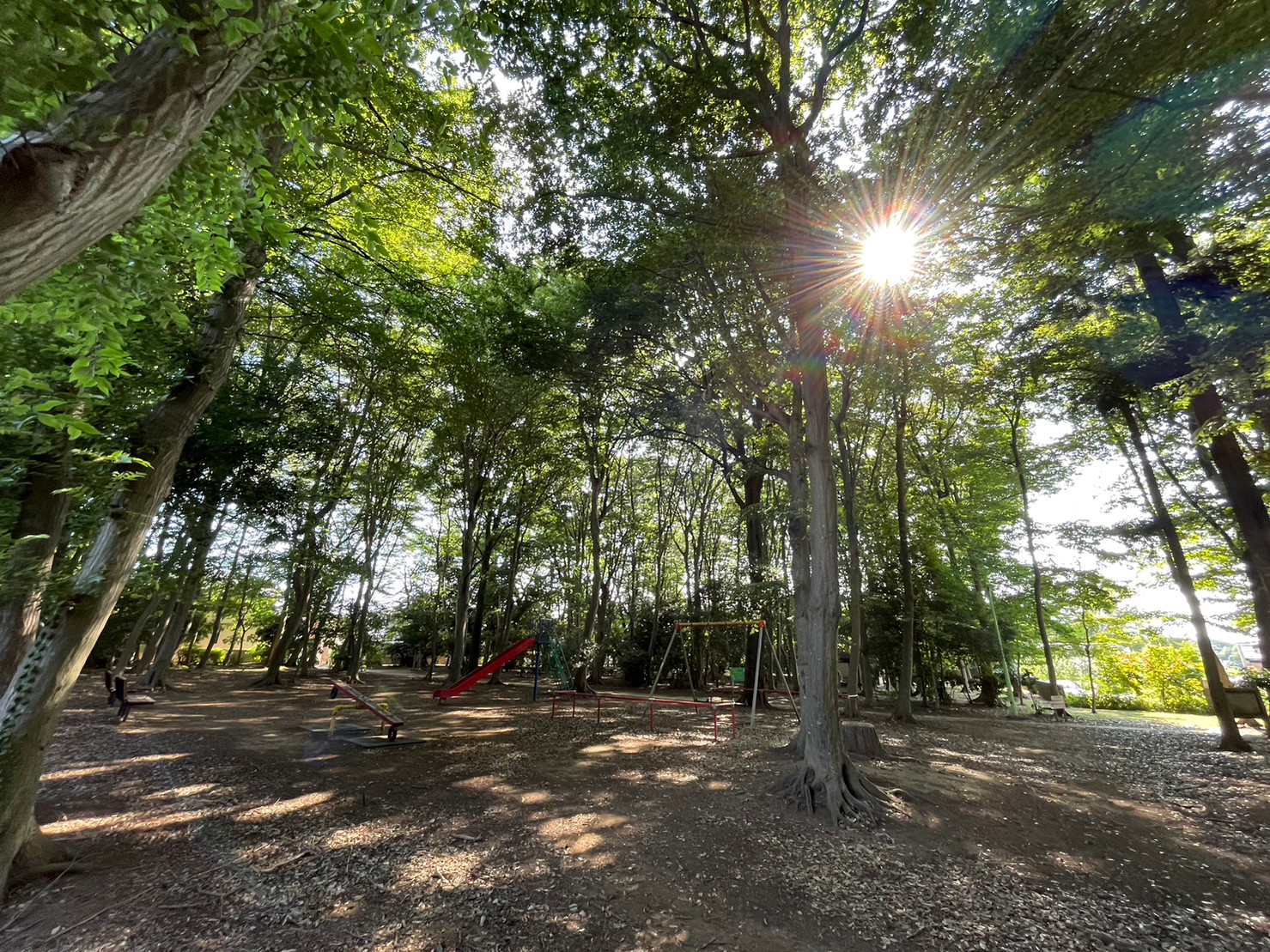 施設のスライド4